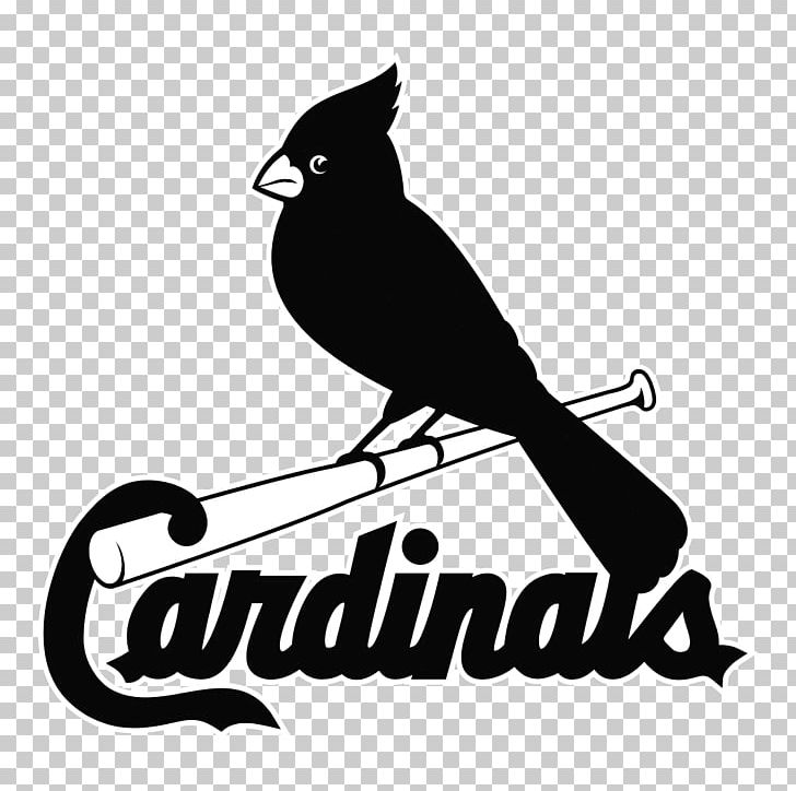 St. Louis Cardinals Chicago Cubs Milwaukee Brewers MLB PNG, Clipart, Baseball, Beak, Bird, Black And White, Brand Free PNG Download