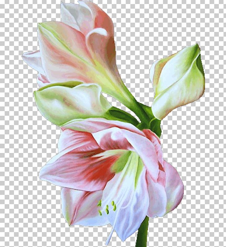 Flower .de Art Floral Design PNG, Clipart, Abstract Art, Alstroemeriaceae, Amaryllis Belladonna, Amaryllis Family, Blog Free PNG Download