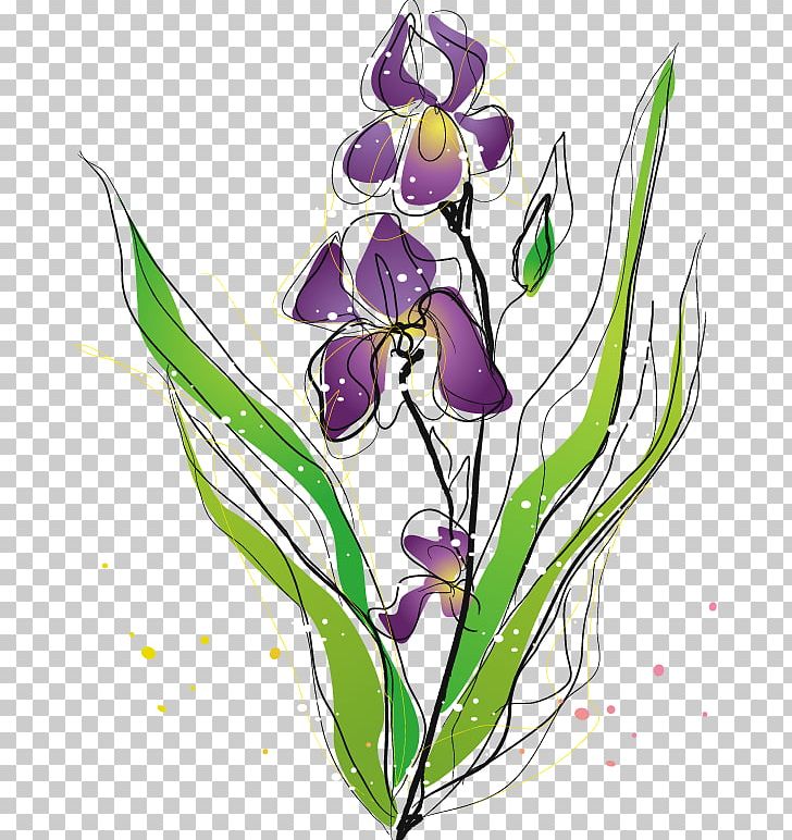 Purple Irises Moth Orchids Plant PNG, Clipart, Cut Flowers, Flower, Flower Arranging, Happy Birthday Vector Images, Iris Free PNG Download