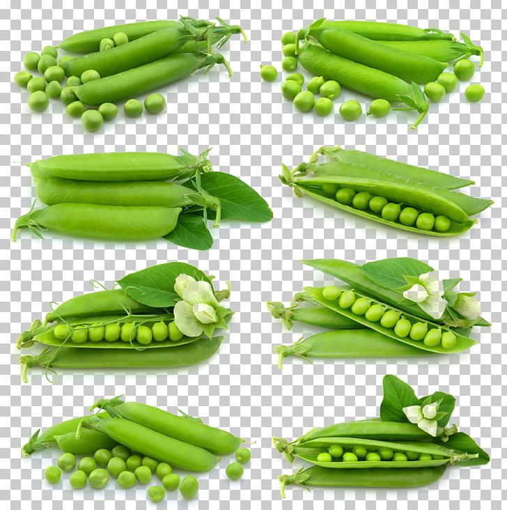 Snow Pea Euclidean Photography PNG, Clipart, Background Green, Bean, Flowering, Food, Fruit Free PNG Download