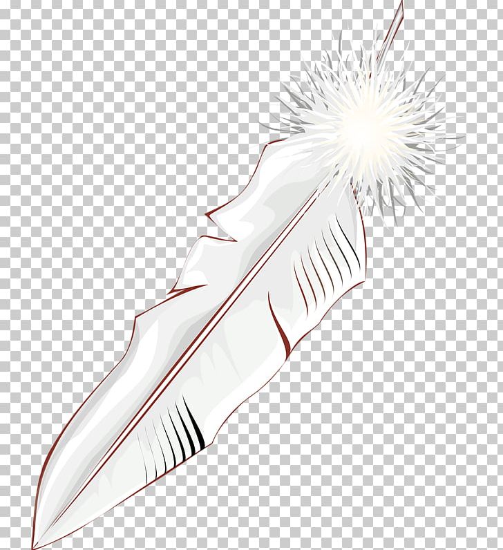 Bird White Feather Wing PNG, Clipart, Animals, Background White, Beautiful, Bird, Birds Free PNG Download
