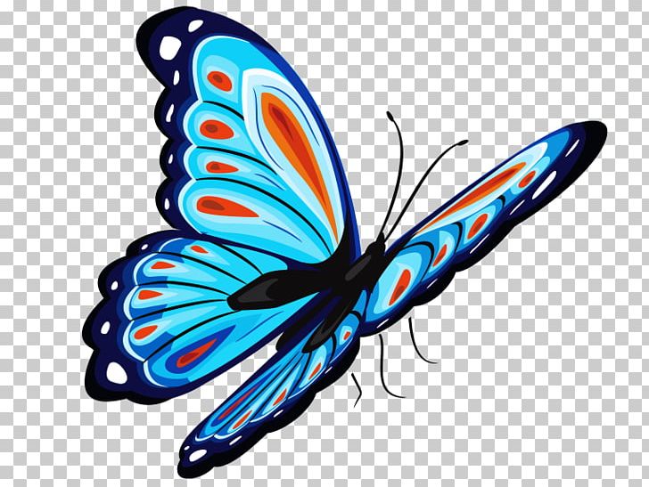 Butterfly PNG, Clipart, Arthropod, Brush Footed Butterfly, Desktop Wallpaper, Insect, Insects Free PNG Download