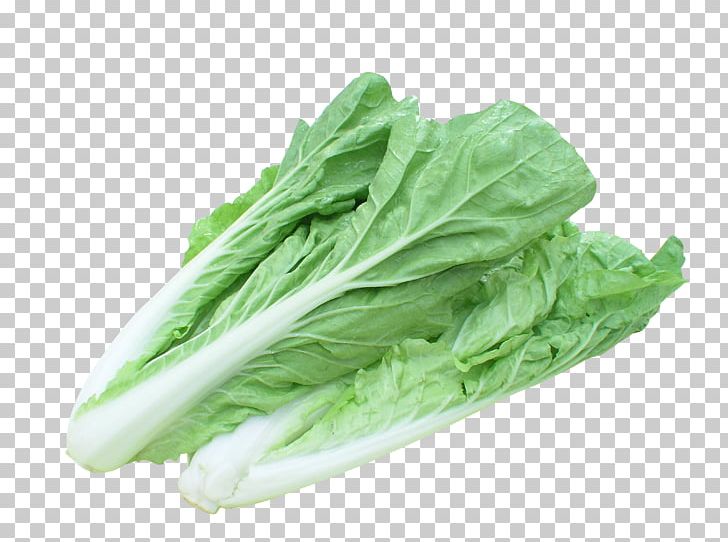 Chinese Cabbage Vegetable Bok Choy Seed PNG, Clipart, Automobile Parts, Body Parts, Cabbage, Car Parts, Catering Free PNG Download