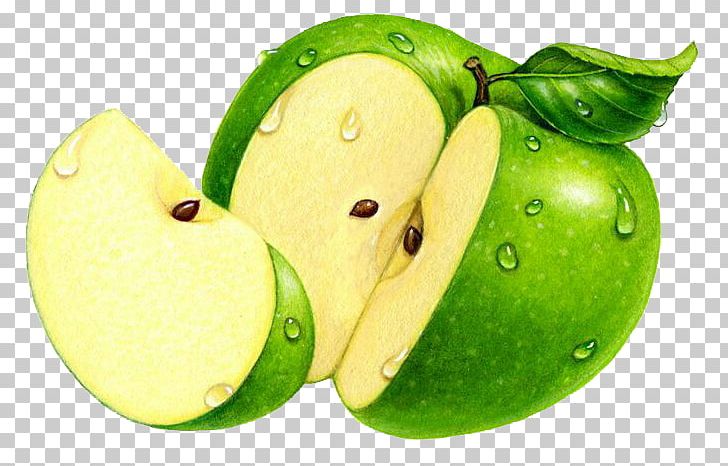 Granny Smith Apple Illustration PNG, Clipart, Adobe, Apple, Apple Fruit, Apple Logo, Background Green Free PNG Download