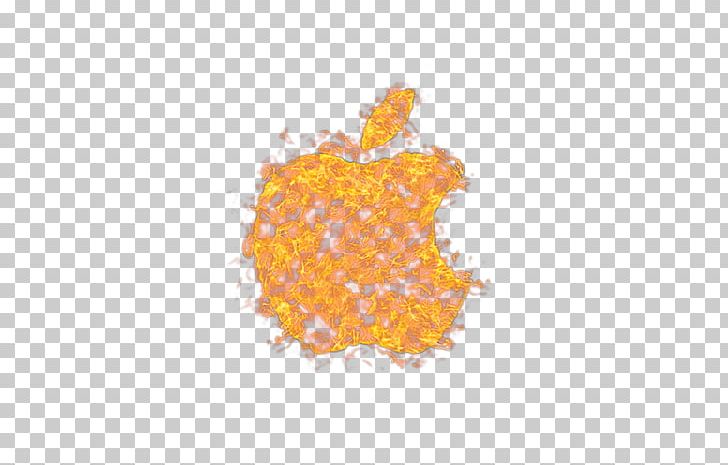 Logo Apple PNG, Clipart, Apple, Apple Fruit, Apple Logo, Bulletin Board System, Computer Wallpaper Free PNG Download