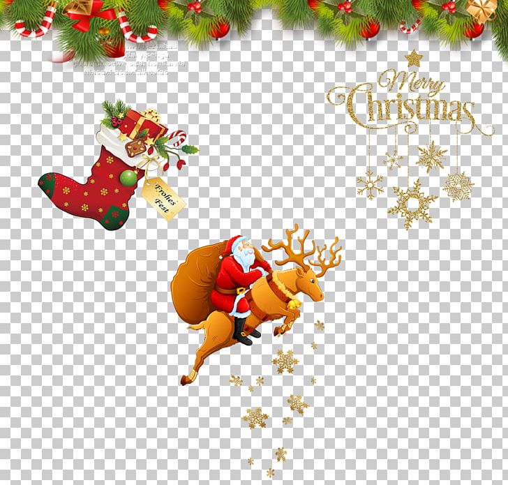 Santa Claus's Reindeer Santa Claus's Reindeer Christmas PNG, Clipart, Christmas Decoration, Christmas Frame, Christmas Lights, Christmas Ornaments, Christmas Stocking Free PNG Download