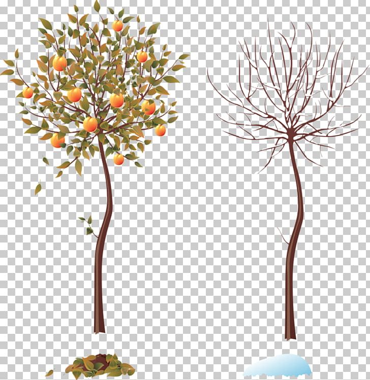 Season Tree Autumn Installation Art Winter PNG, Clipart, Art, Autumn, Branch, Flora, Flower Free PNG Download