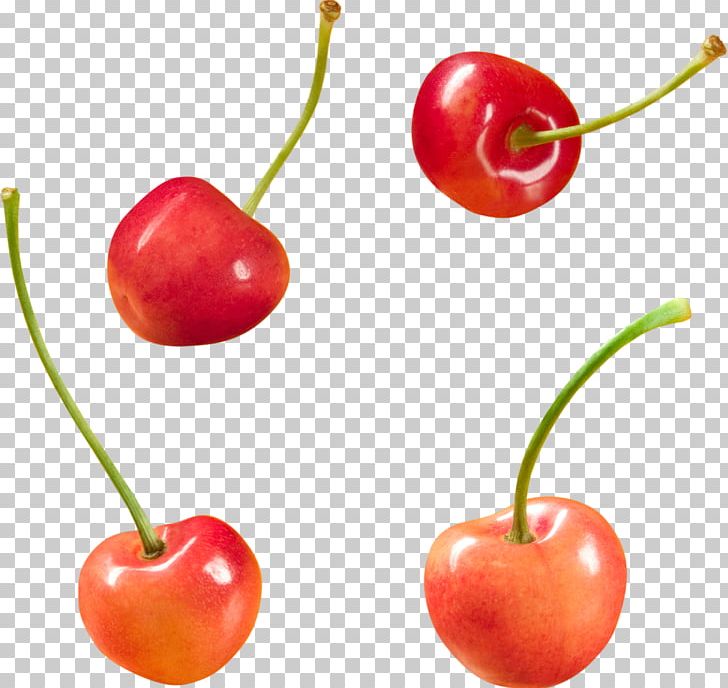Barbados Cherry Food Fruit PNG, Clipart, Accessory Fruit, Acerola, Acerola Family, Auglis, Barbados Cherry Free PNG Download