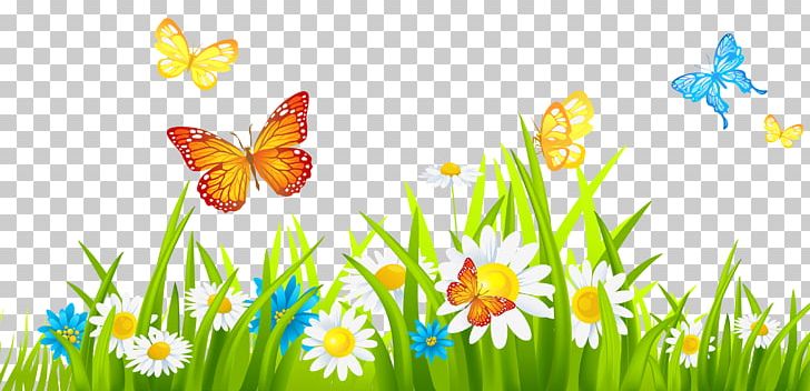 Flower PNG, Clipart, Brush Footed Butterfly, Butterfly, Computer Wallpaper, Document, Flowering Plant Free PNG Download