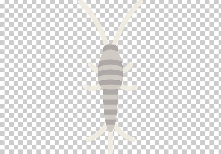 Insect PNG, Clipart, Animal, Animals, Infestation, Insect, Invertebrate Free PNG Download