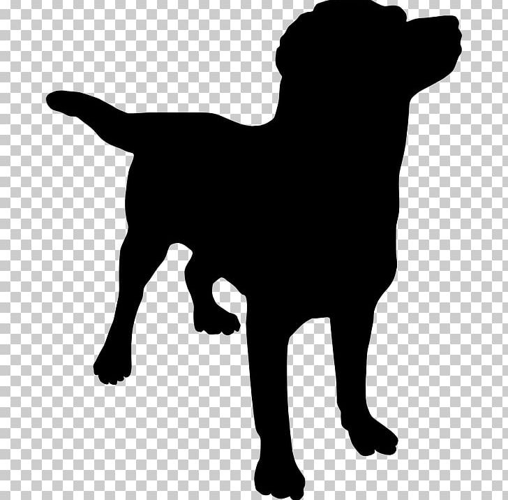 Labrador Retriever Golden Retriever Puppy PNG, Clipart, Aging In Dogs, Animal, Animals, Art Dog, Black Free PNG Download