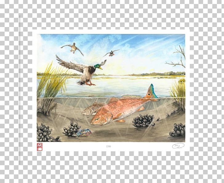 Watercolor Painting Artist Shore PNG, Clipart, Art, Artist, Art Museum, Beak, Bird Free PNG Download