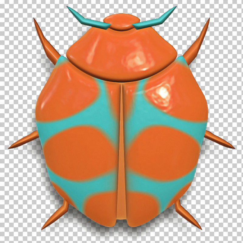 Orange PNG, Clipart, Insect, Jewel Bugs, Orange Free PNG Download