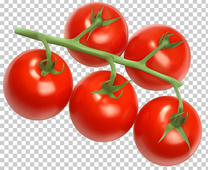 Cherry Tomato Vegetable PNG, Clipart, Acerola Family, Cherry, Diet Food, Food, Free Content Free PNG Download