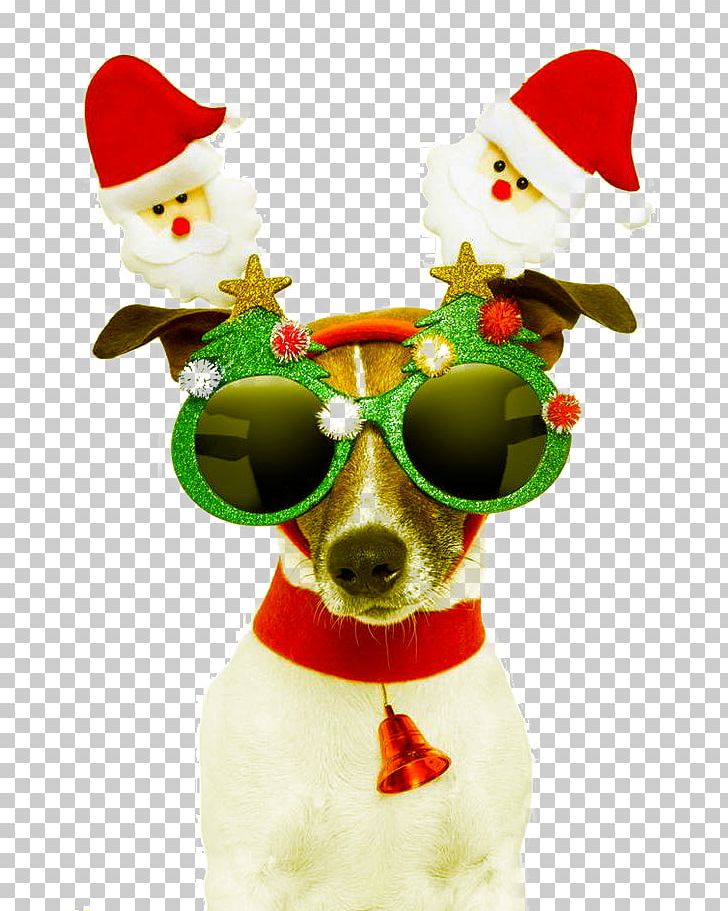 Santa Claus Dog Christmas Card Greeting Card PNG, Clipart, Animal, Animals, Birthday, Chong, Christmas Free PNG Download