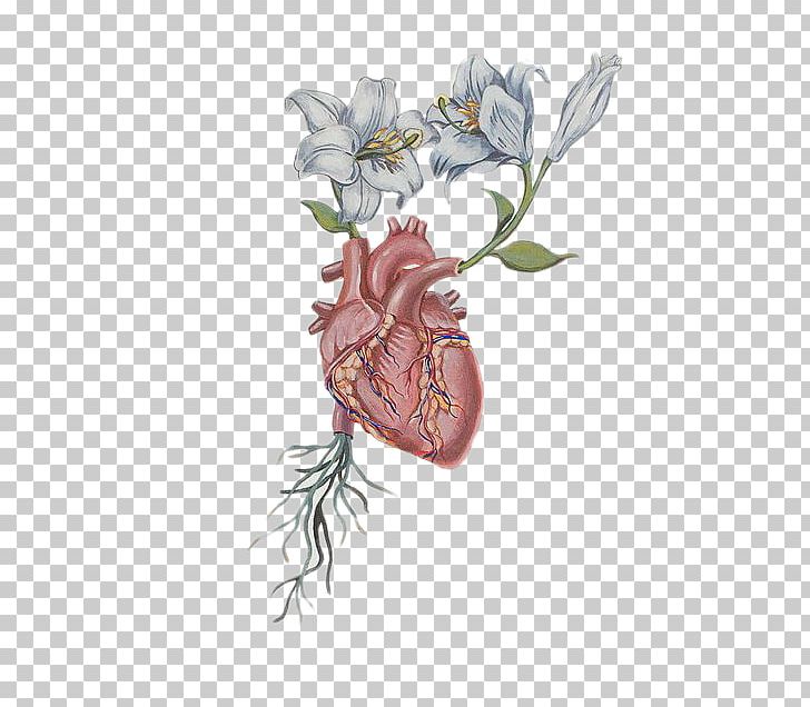 Heart Flower Drawing Anatomy PNG, Clipart, Anatomy, Aorta, Art, Doodle, Drawing Free PNG Download