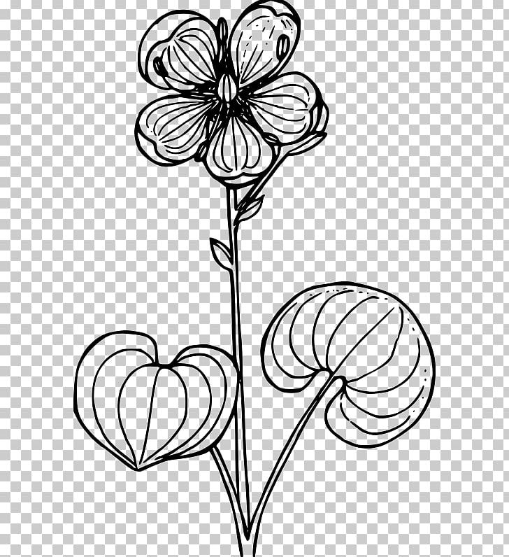 Logo Book: Stefan Kanchev Grass Of Parnassus Drawing PNG, Clipart, Artwork, Black And White, Bud, Cut Flowers, Drawing Free PNG Download