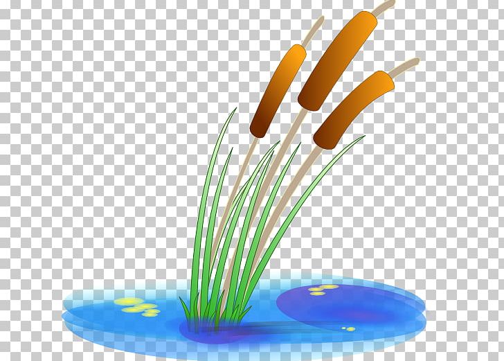 Wetland Free Content PNG, Clipart, Aquatic Plant, Cattail, Clip Art, Common Reed, Download Free PNG Download