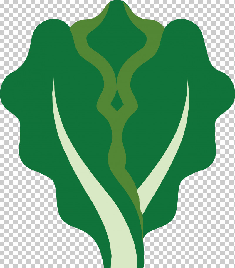 Lettuce PNG, Clipart, Green, Leaf, Lettuce, Logo, Plant Free PNG Download