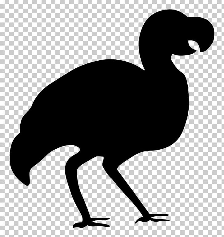 Bird Dodo Silhouette PNG, Clipart, Animals, Beak, Bird, Black And White, Chicken Free PNG Download