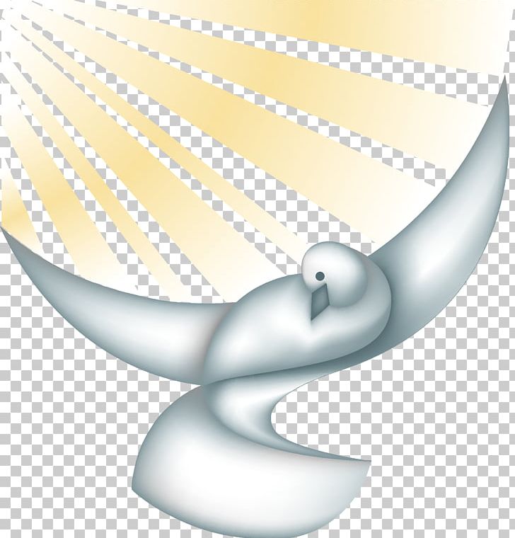 Christianity Columbidae Doves As Symbols PNG, Clipart, Baptism, Baptism Of Jesus, Beak, Christian, Christian Cross Free PNG Download