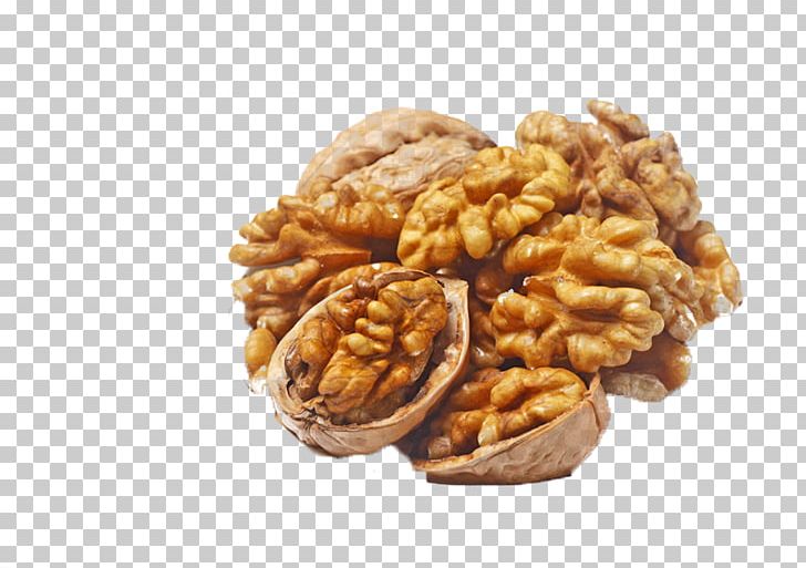 English Walnut Pecan Nucule PNG, Clipart, Download, Encapsulated Postscript, Food, Fruit Nut, Gratis Free PNG Download