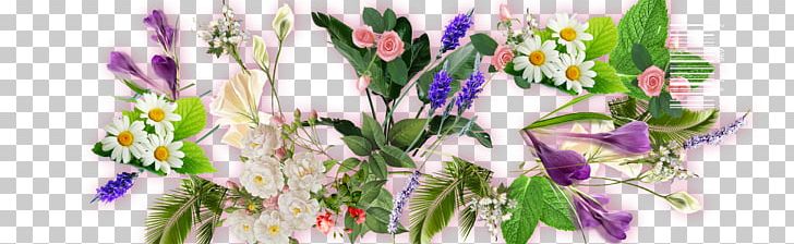 Flower Leaf Floral Design PNG, Clipart, Beach Rose, Crocus, Cut, Desktop Wallpaper, Flower Free PNG Download