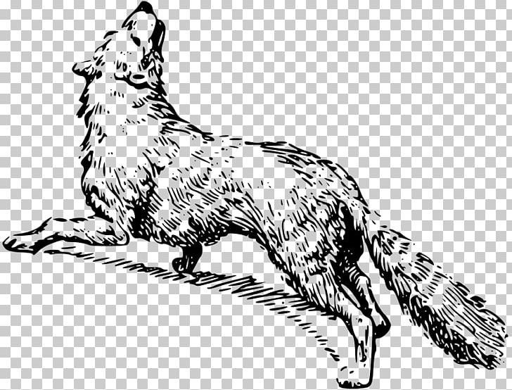 Red Fox Whiskers Dog Breed PNG, Clipart,  Free PNG Download