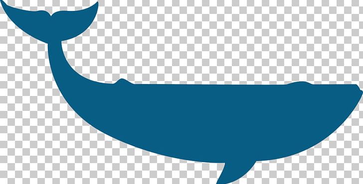 Dolphin Whale Google S PNG, Clipart, Animal, Animals, Beluga Vector, Blue, Blue Whale Free PNG Download