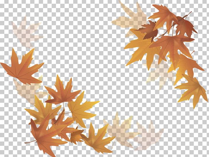 Tree PNG, Clipart, Autumn, Branch, Can Stock Photo, Computer Wallpaper, Leaf Free PNG Download