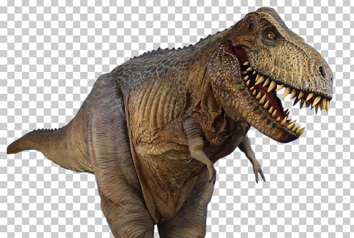 Tyrannosaurus Spinosaurus PNG, Clipart, College, Desktop Wallpaper, Dinosaur, Download, Extinction Free PNG Download