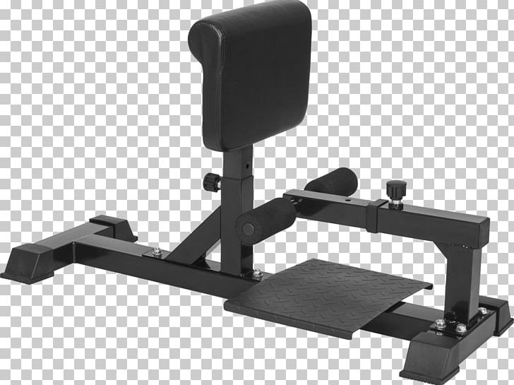 Bench Squat Fitness Centre Weight Training Exercise PNG, Clipart, Angle, Bank, Bench, Biceps, Biceps Curl Free PNG Download
