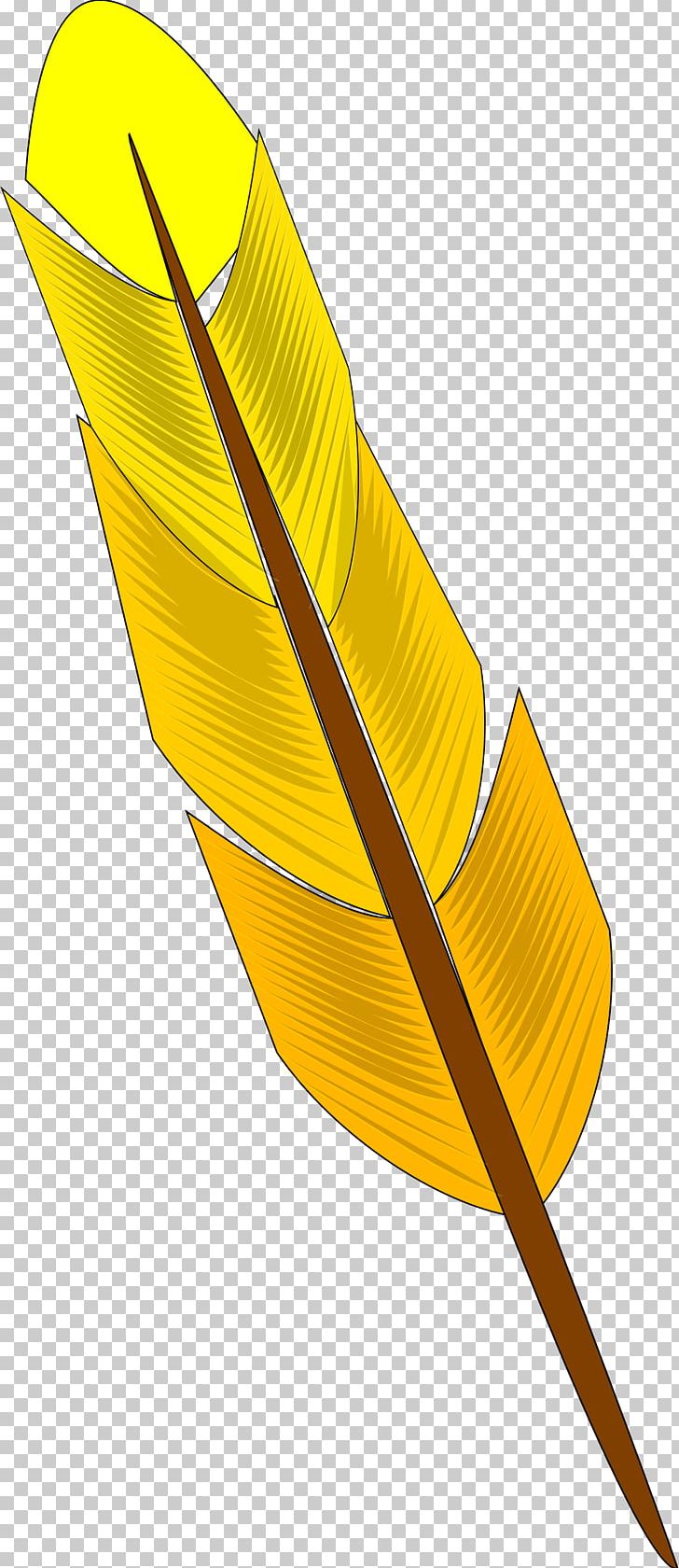 Feather Yellow PNG, Clipart, Animals, Feather, Leaf, Line, Public Domain Free PNG Download