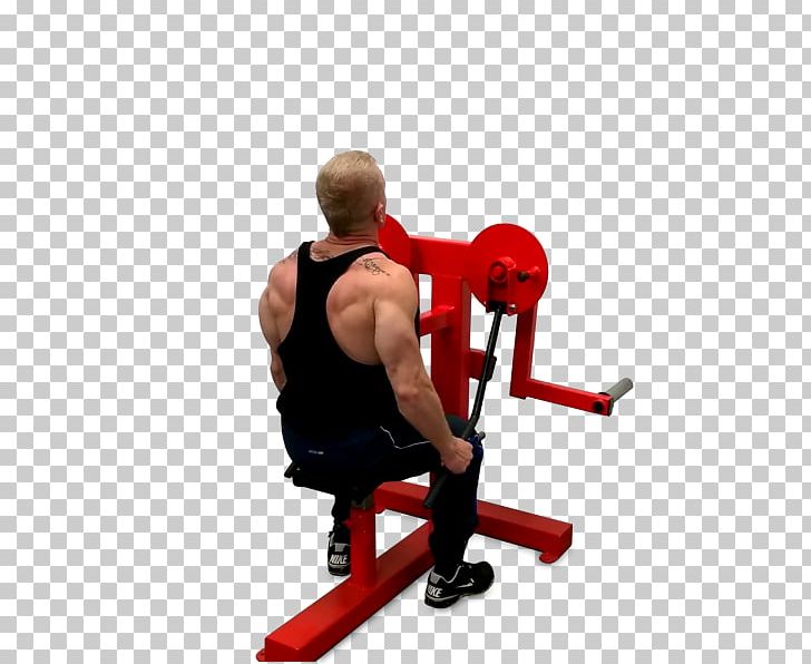 Weight Training Rear Delt Raise Fly Overhead Press Exercise Equipment PNG, Clipart, Abdomen, Alzata Laterale, Arm, Bodybuilding, Exercise Free PNG Download