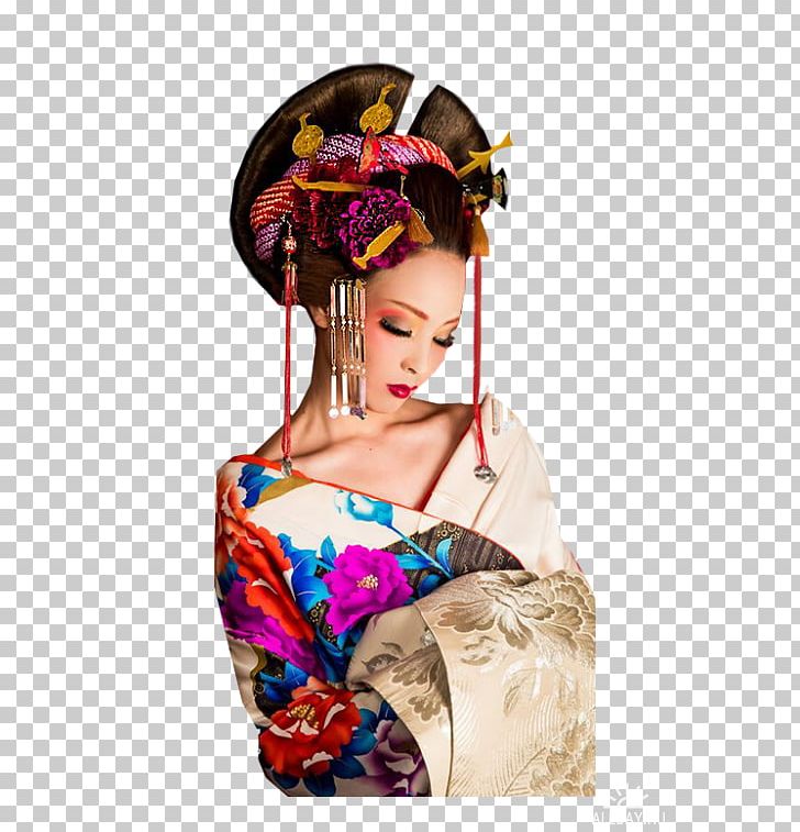 Geisha Hair Clothing Accessories PNG, Clipart, Clothing Accessories, Costume, Geisha, Hair, Hair Accessory Free PNG Download