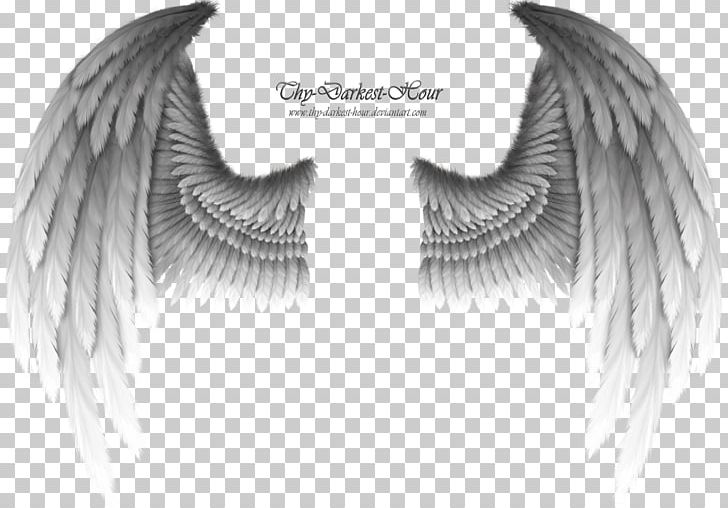Buffalo Wing Drawing PNG, Clipart, Angel, Art, Black And White, Buffalo Wing, Devil Free PNG Download