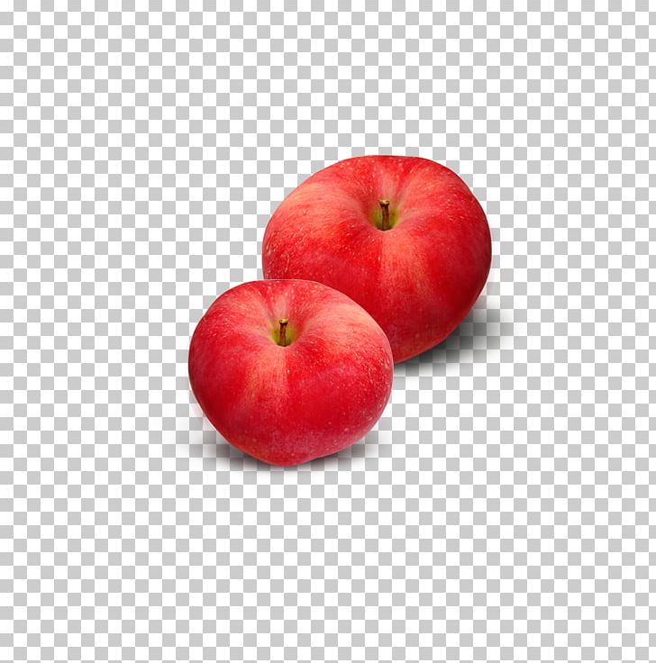 MS-DOS Apple Software PNG, Clipart, Apple, Apple Fruit, Apple Logo, Apple Tree, Designer Free PNG Download