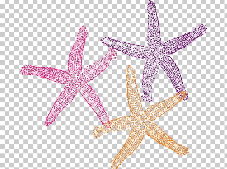 Starfish Computer Icons PNG, Clipart, Animals, Computer Icons, Coral, Coral Reef Fish, Download Free PNG Download