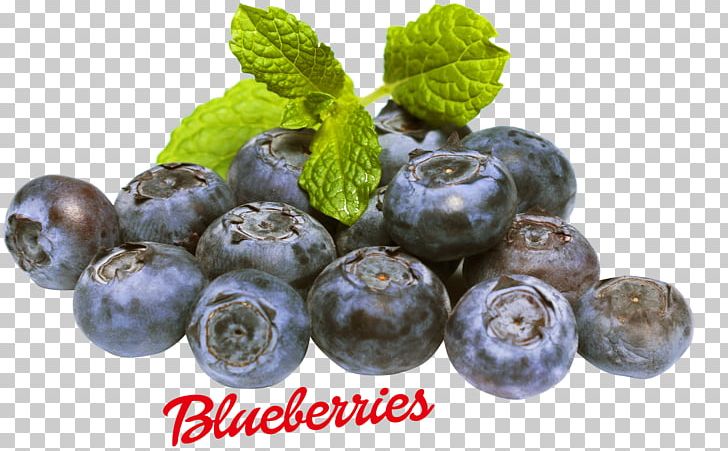 Blueberry Food Fruit Vaccinium Myrtilloides PNG, Clipart, Antioxidant, Berry, Bilberry, Blueberry, Chokeberry Free PNG Download