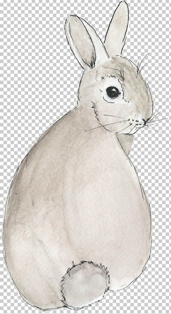 Easter Bunny Domestic Rabbit Hare Vertebrate PNG, Clipart, Animal, Animals, Domestic Rabbit, Drawing, Easter Free PNG Download