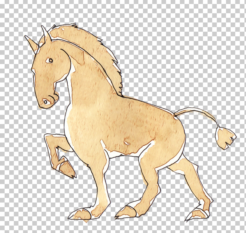 Lion Mustang Tail Joint Cat PNG, Clipart, Cartoon Horse, Cat, Cute Horse, Horse, Human Biology Free PNG Download