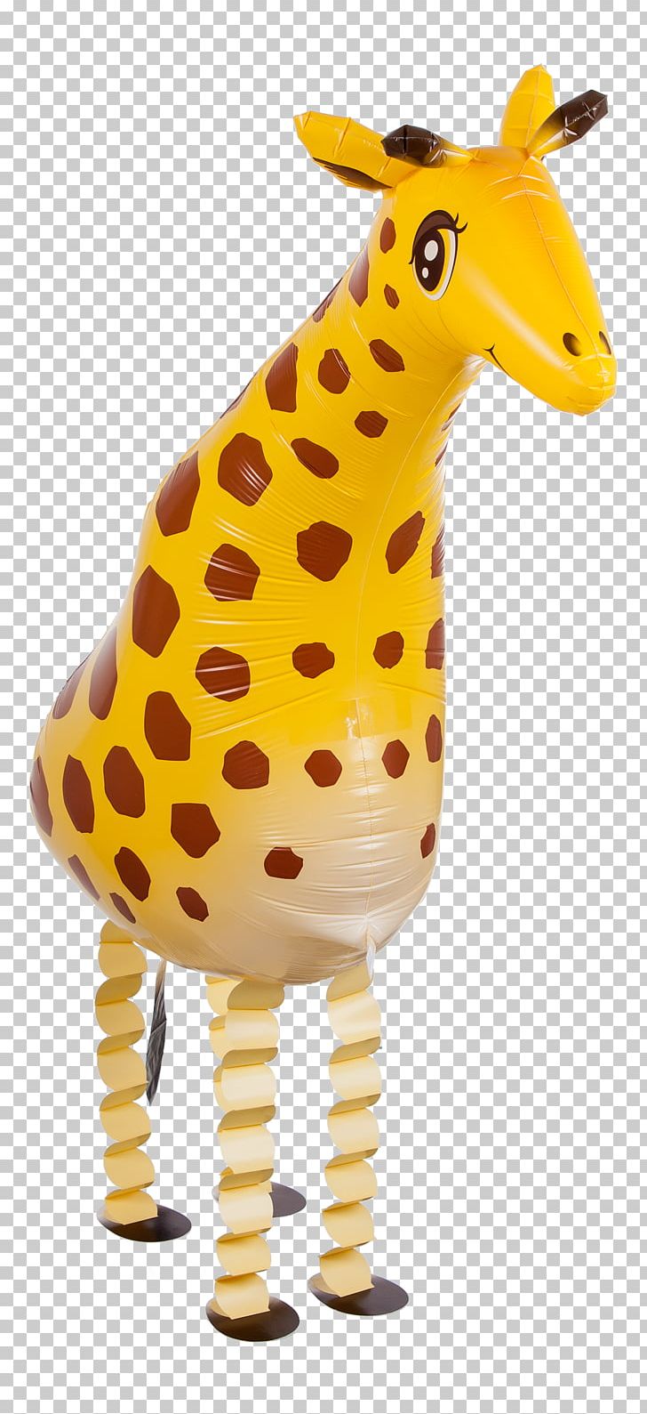 Giraffe Terrestrial Animal PNG, Clipart, Animal, Animal Figure, Animals, Giraffe, Giraffidae Free PNG Download