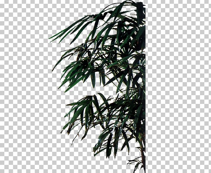 House Painter And Decorator Icon PNG, Clipart, Bamboo, Bamboo Leaves, Bamboo Tree, Branch, Decoration Free PNG Download