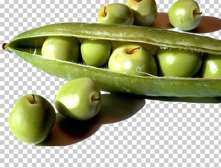 Wrap Pea Soybean Food Genetically Modified Organism PNG, Clipart, Apple Fruit, Apple Logo, Background Green, Bean, Cooking Free PNG Download