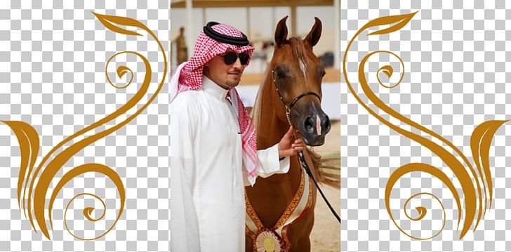 Arabian Horse Stallion Rein Stud Farm المحمدية تمور ممتازة PNG, Clipart, Abdullah Of Saudi Arabia, Arabian Horse, Arabian Peninsula, Brand, Bridle Free PNG Download