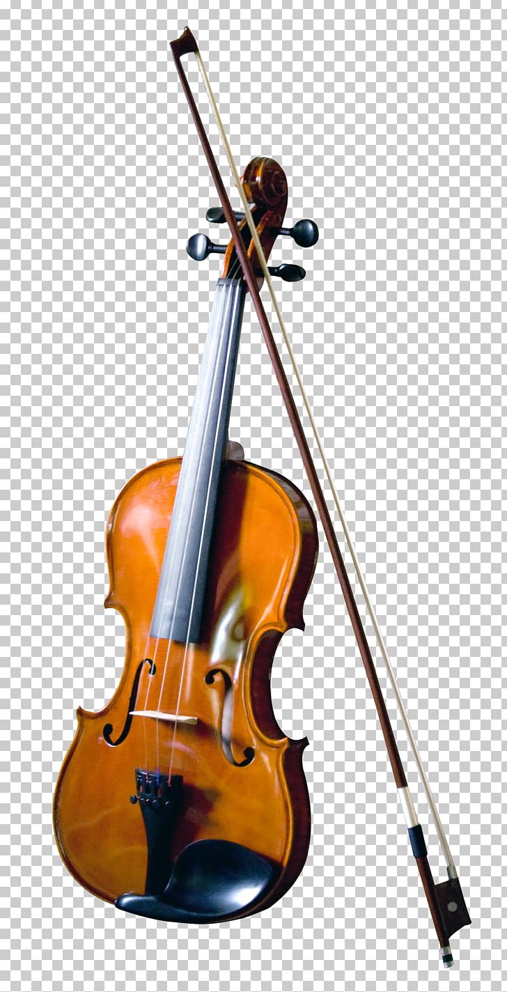 Bass Violin Double Bass Musical Instrument PNG, Clipart, Bass Violin, Bowed String Instrument, Cellist, Cello, Child Free PNG Download