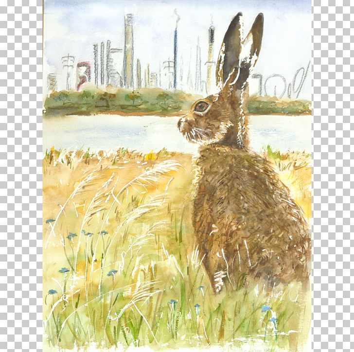 Hare Painting Fauna Wildlife Tail PNG, Clipart, Art, Fauna, Flora, Grass, Grass Family Free PNG Download
