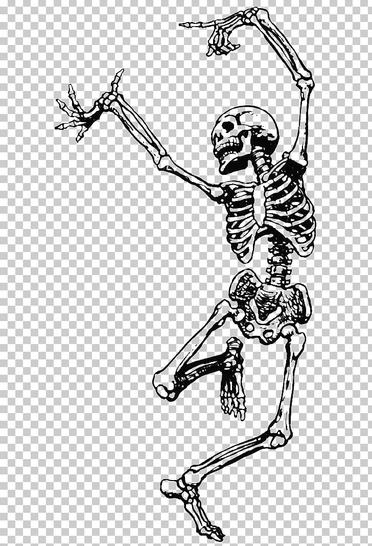 Human Skeleton Dance Skull PNG, Clipart, Area, Arm, Art, Ballet Dancer
