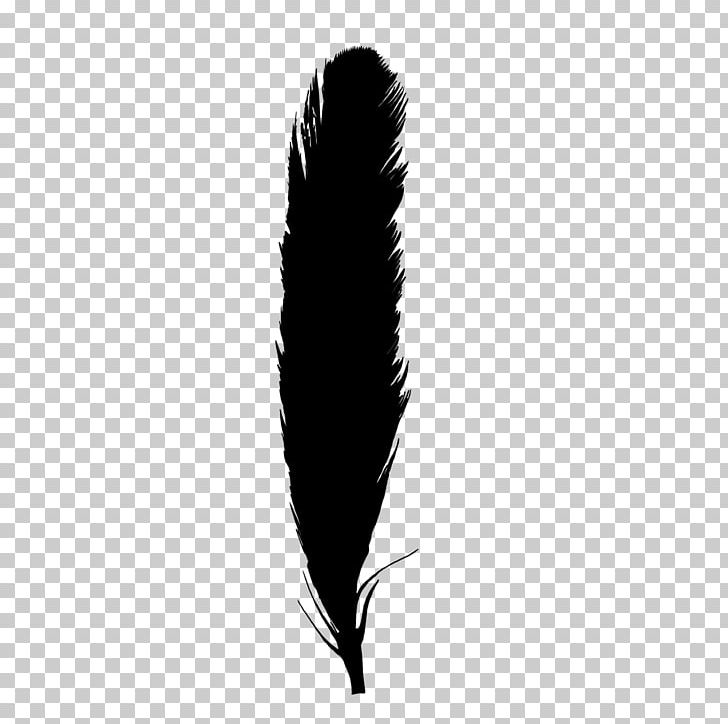 Black And White Monochrome Photography Feather PNG, Clipart, Animals, Black, Black And White, Black M, Feather Free PNG Download