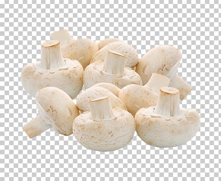 Common Mushroom Fungus REWE Pleurotus Eryngii Online Grocer PNG, Clipart, Agaricaceae, Agaricomycetes, Agaricus, Champignon, Champignon Mushroom Free PNG Download